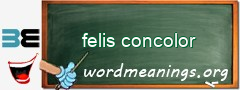 WordMeaning blackboard for felis concolor